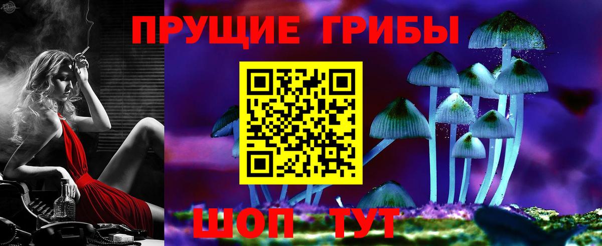 Галлюциногенные грибы Cubensis Димитровград